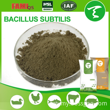 animal feed additives suppliers bacillus subtilis